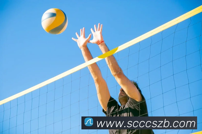 彩神争霸平台生态图