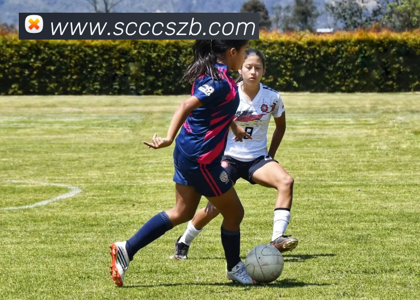 数据防护可视化